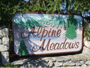 Alpine Meadows - Land