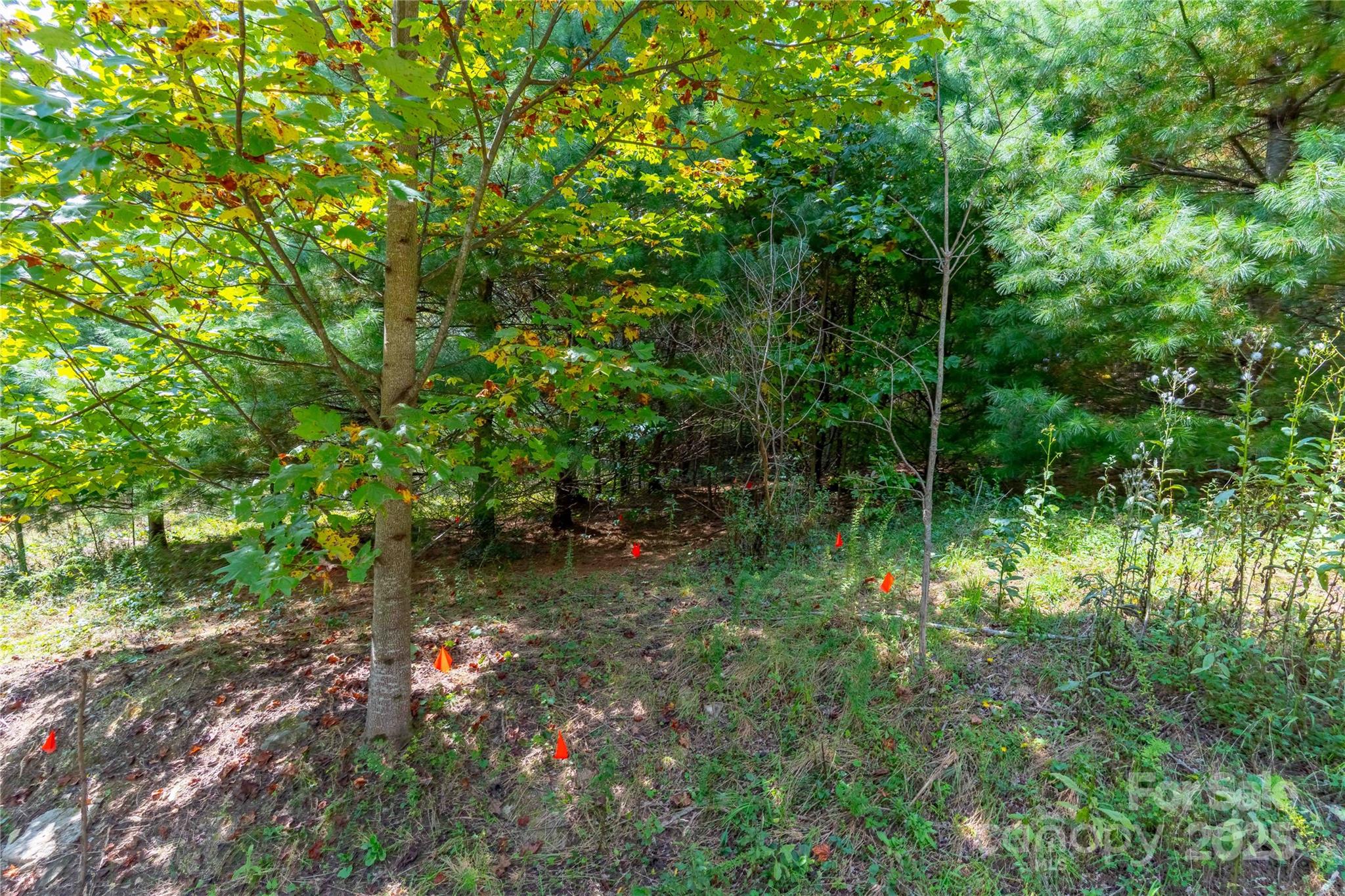 Somersby Park - Land