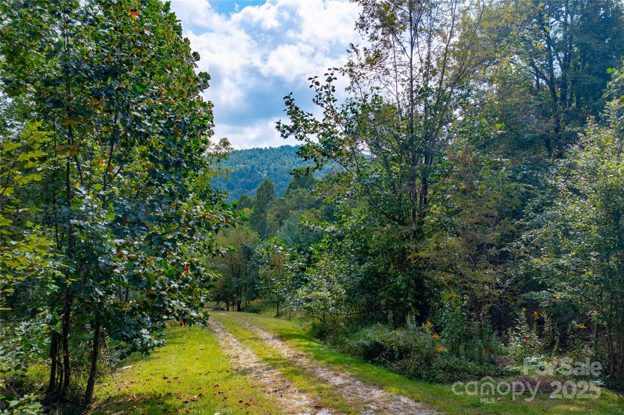 Somersby Park - Land