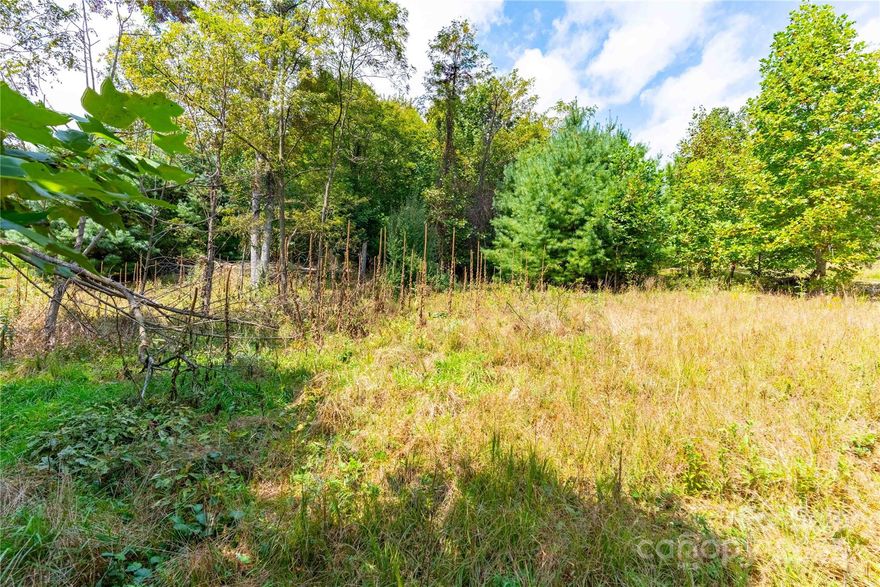 Welcome to Somersby Park, one of Hendersonville’s most desirable gated communities! This 0.66-acre lot is truly one of the best in the neighborhood, offering a gently sloped building site surrounded by natural beauty.
Somersby Park is a private, 160-acre mountain community designed for those who value both serenity and convenience. Residents enjoy a park-like setting with walking trails, ponds, waterfalls, and lush wooded landscapes—all just minutes from downtown Hendersonville, local restaurants, shopping, and medical services.
With community-maintained roads, underground utilities, and access to a community well and STEP septic system, this homesite is ready for your dream build. Whether you’re seeking a full-time residence or a second home retreat, this lot provides the perfect balance of privacy, beauty, and accessibility.
Don’t miss the chance to claim one of the finest parcels in Somersby Park and start planning your mountain getaway today!