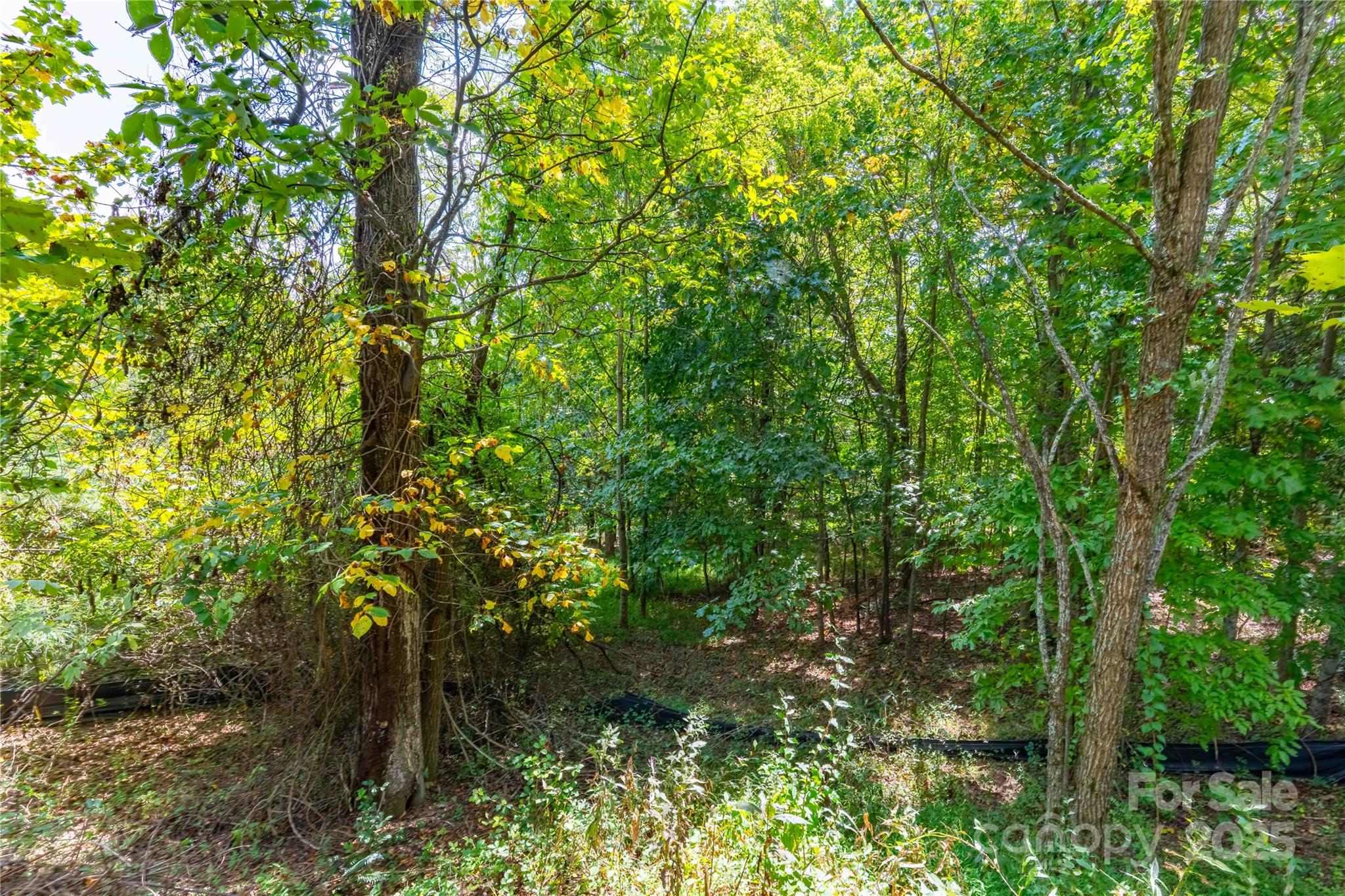 Somersby Park - Land