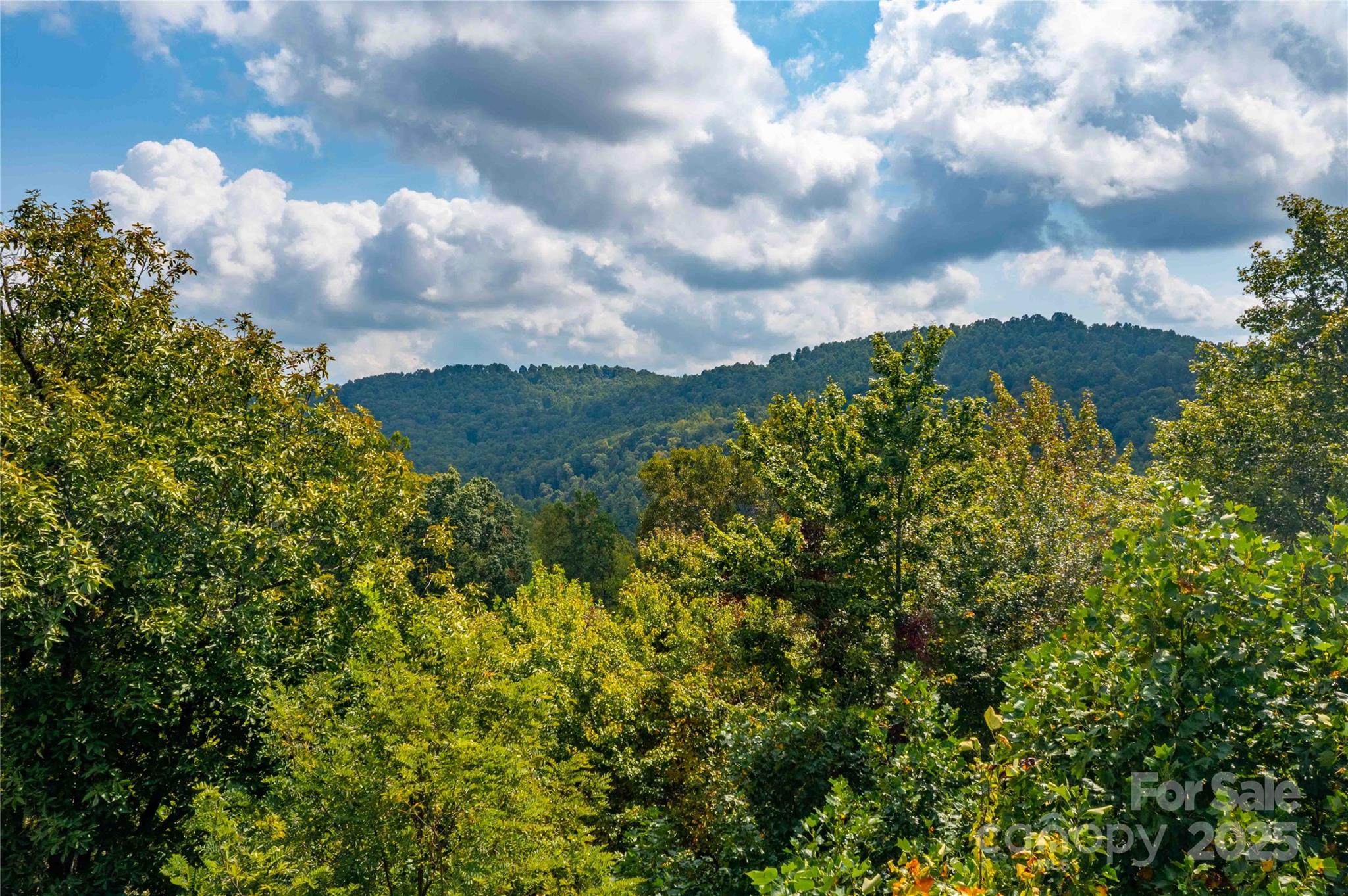 Somersby Park - Land