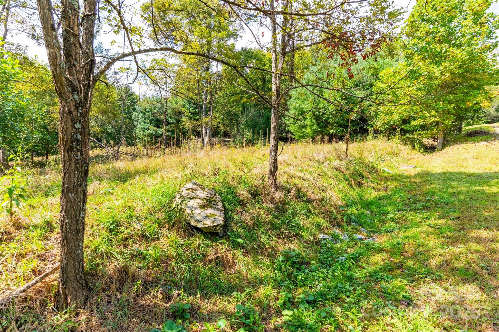 1043 Somersby Parkway