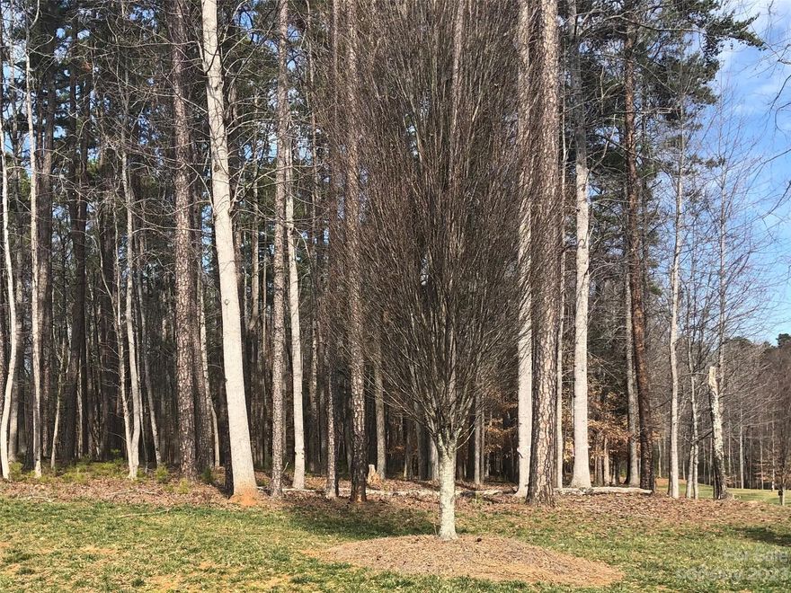 Build a dream home on this beautiful wooded corner lot in Cheval. Five beautiful neighborhood Parks with picnic tables, park benches and gathering areas. Wild Flower Pond Park offers a beautiful pond and areas for family activities. Nestled in the 423-acre scenic Cheval community are the large, luxurious homes in The Woodlands at Cheval.