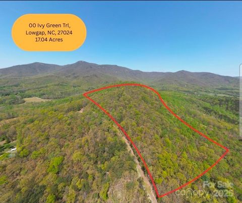 TBD Ivy Green Trail Lowgap NC 27024