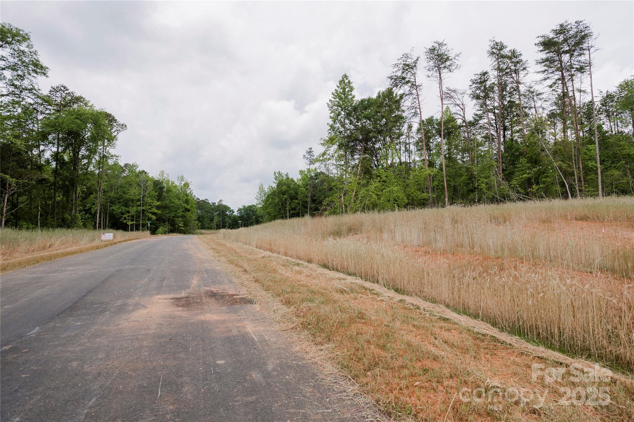 Southern Pine Lake - Land