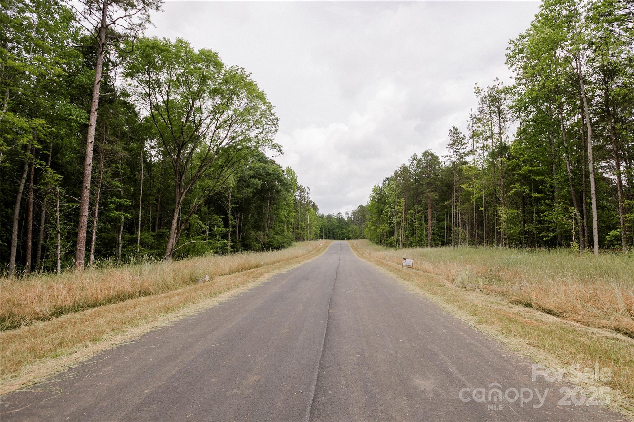 Southern Pine Lake - Land
