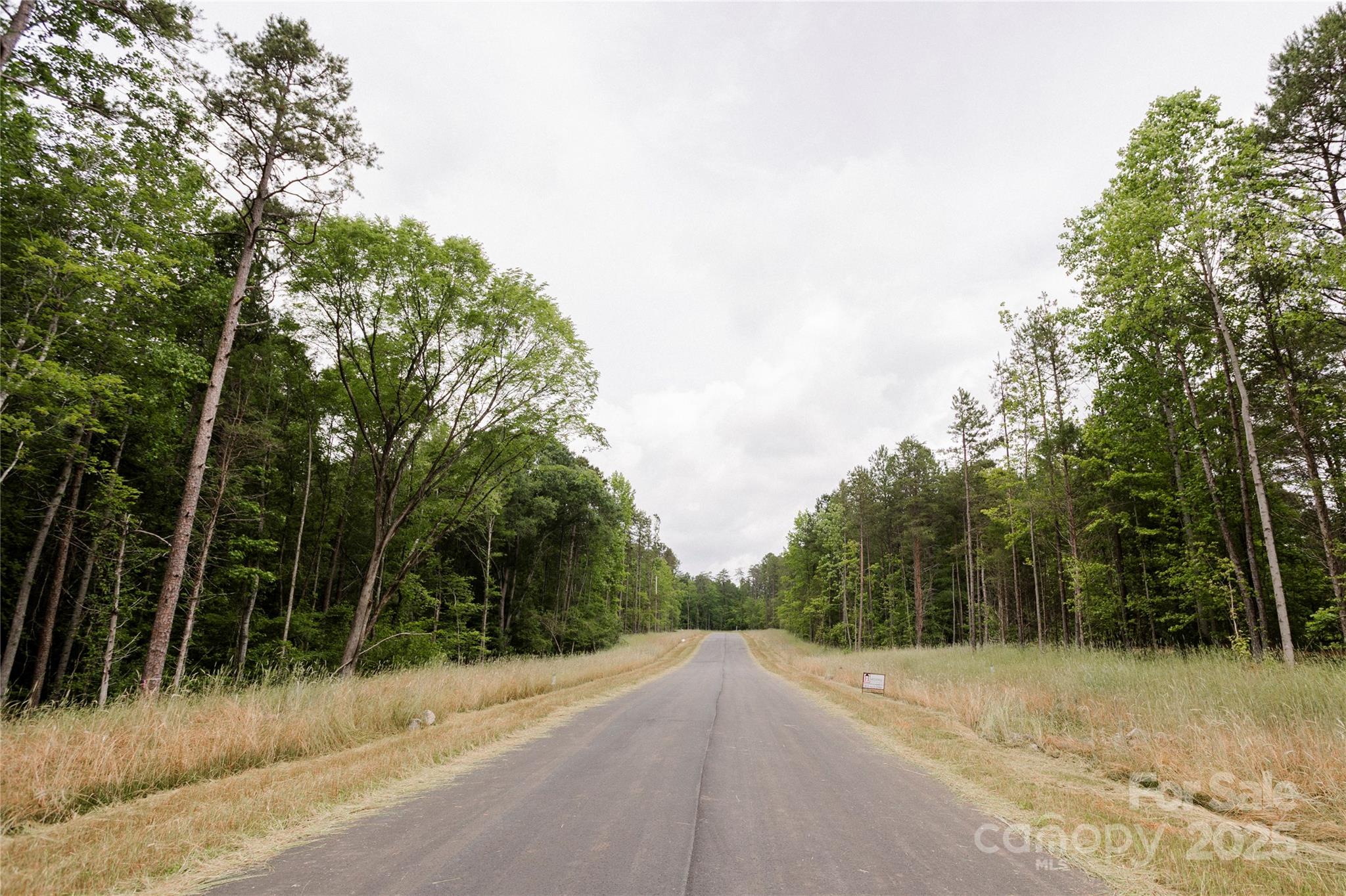 Southern Pine Lake - Land