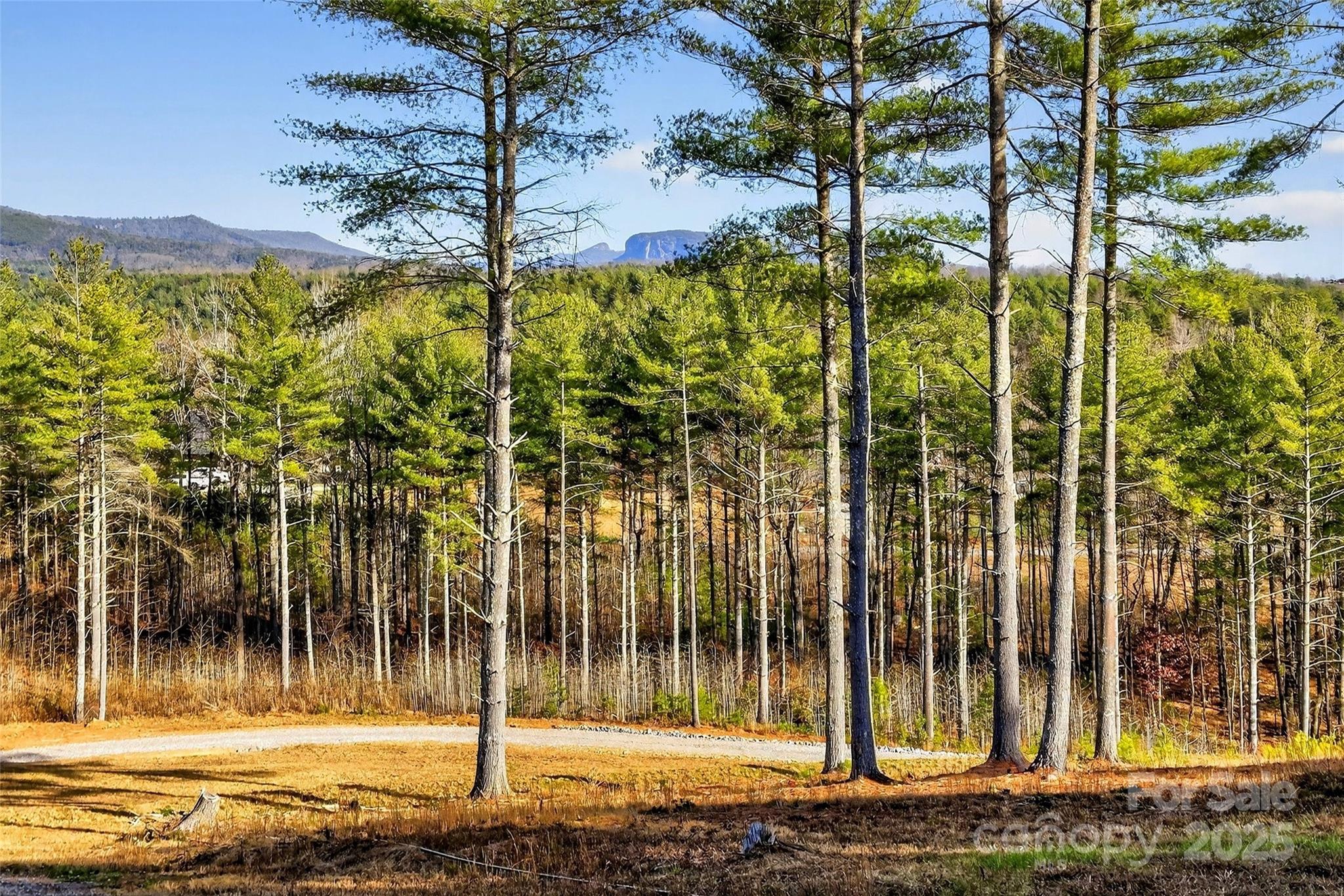 The Peninsula at Lake James - Land