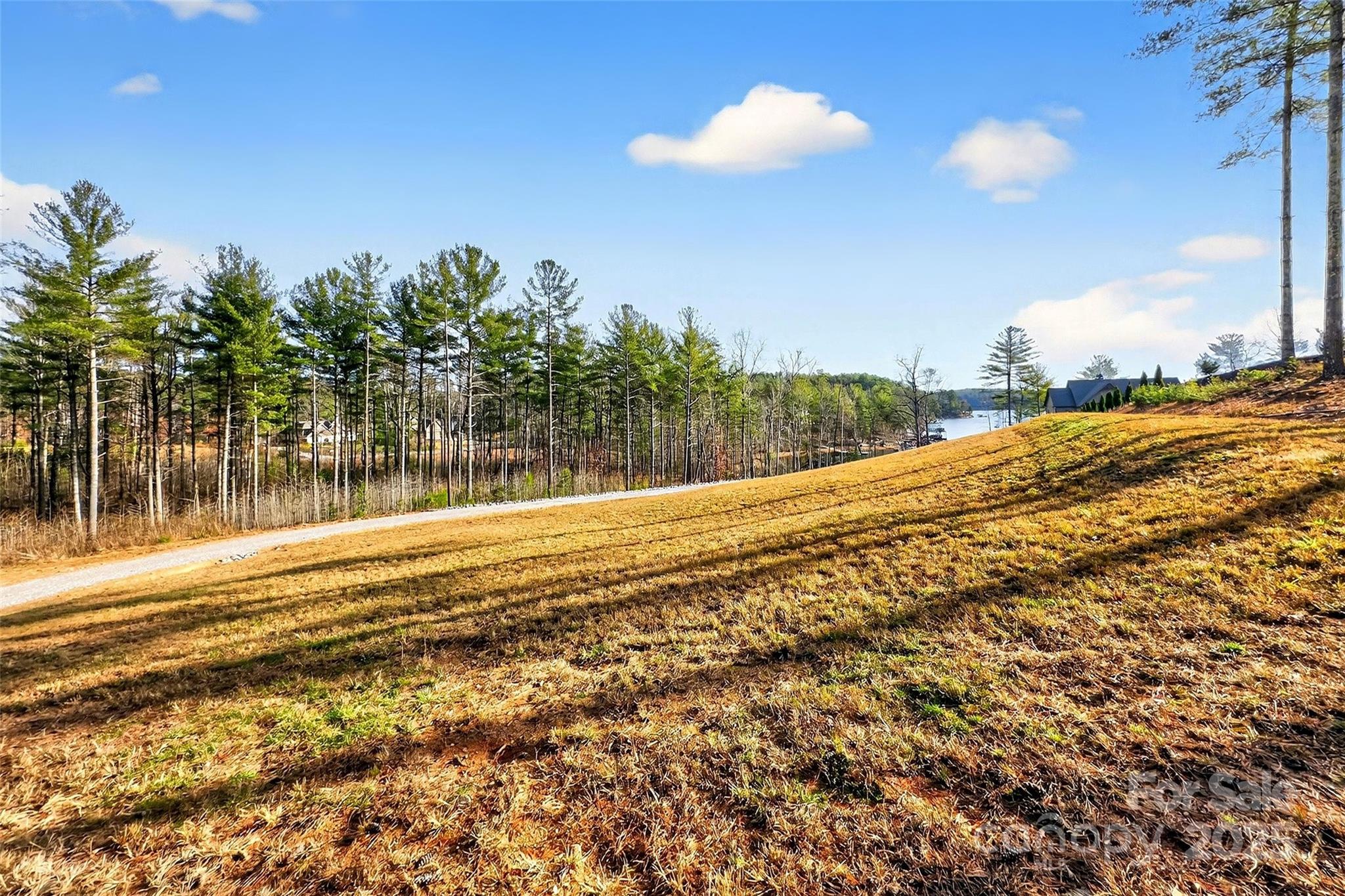The Peninsula at Lake James - Land