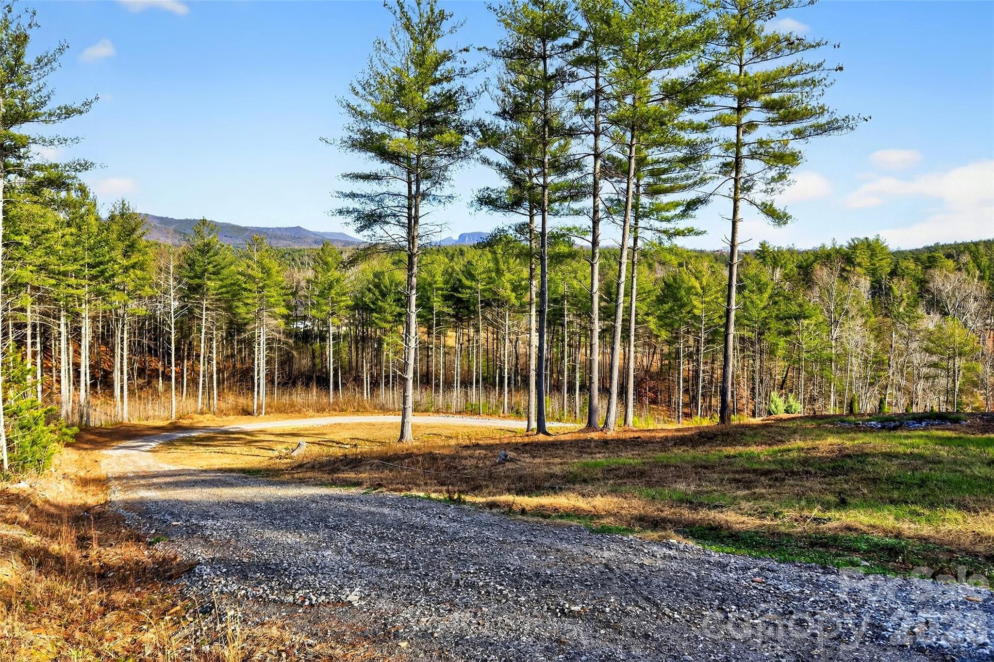 The Peninsula at Lake James - Land