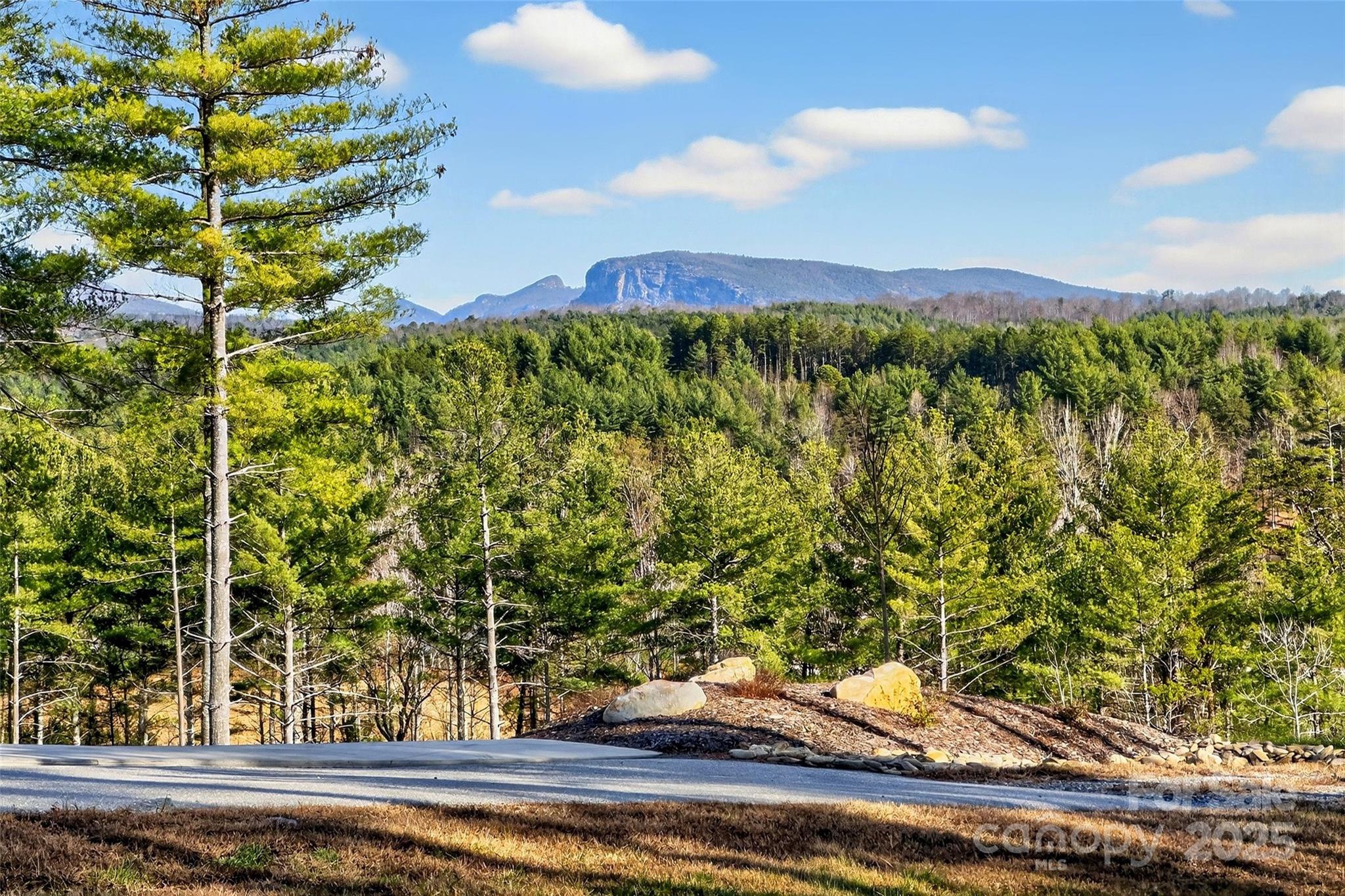 The Peninsula at Lake James - Land