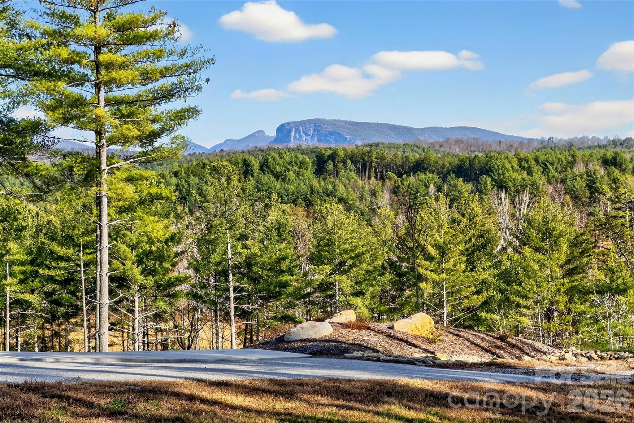 The Peninsula at Lake James - Land