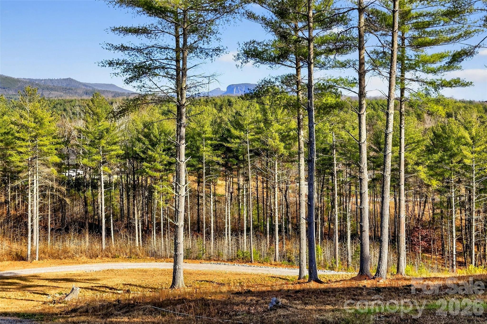 The Peninsula at Lake James - Land
