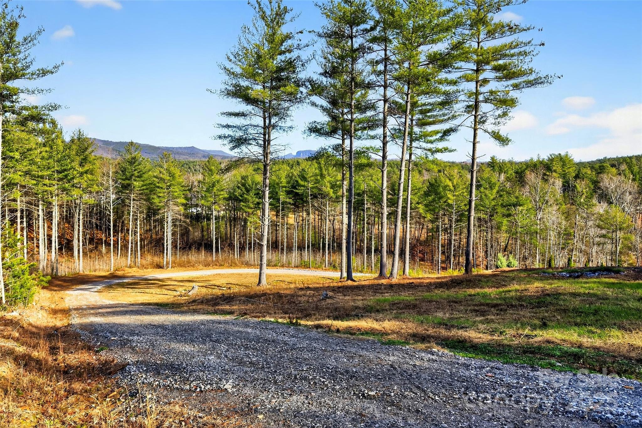 The Peninsula at Lake James - Land