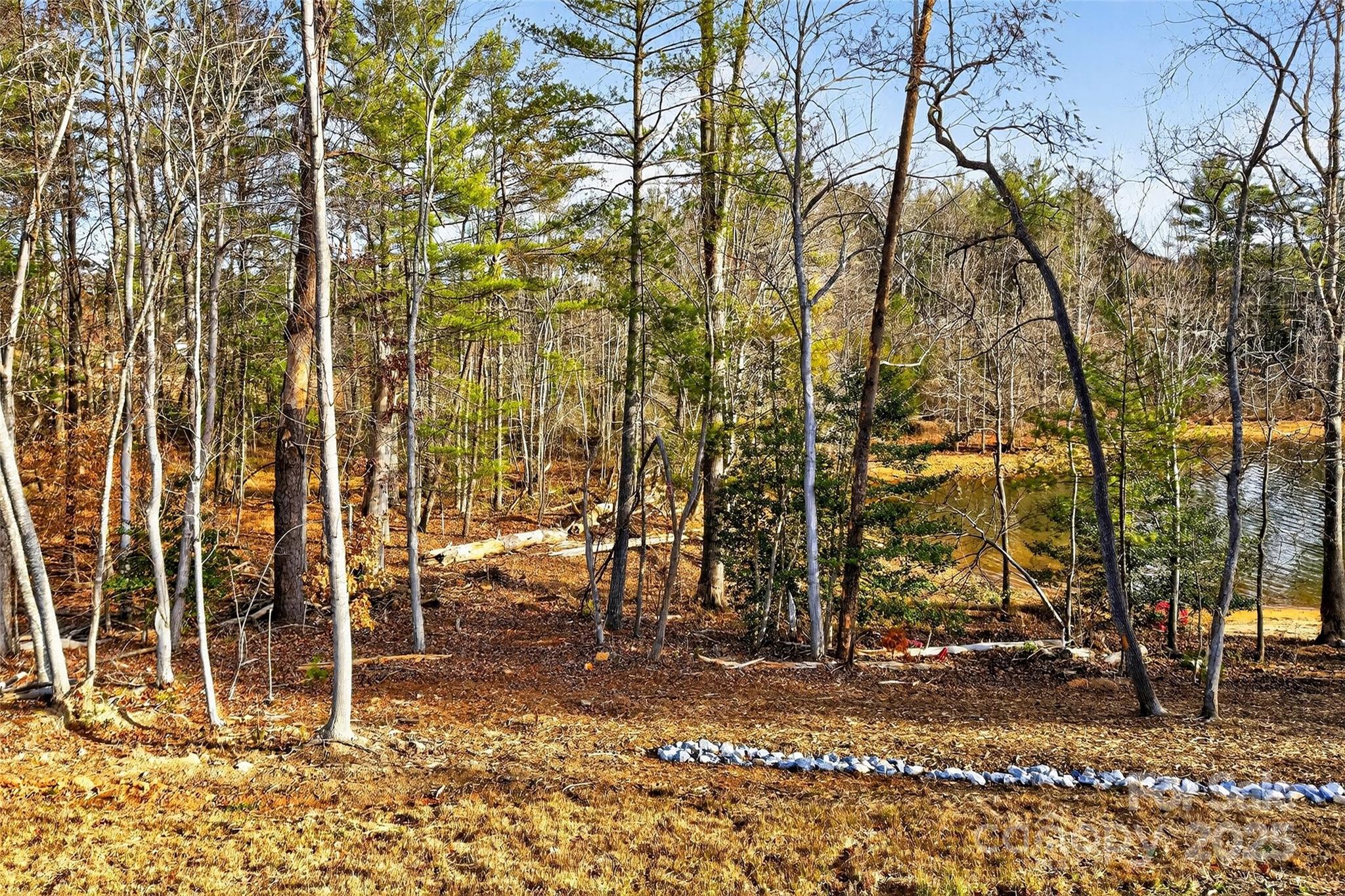 The Peninsula at Lake James - Land
