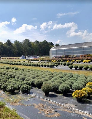 32544 HIGHWAY 9, PAGELAND, SC 29728 - Image f9d30096d2c7be44ca234acafbb5e8c2/3208419784