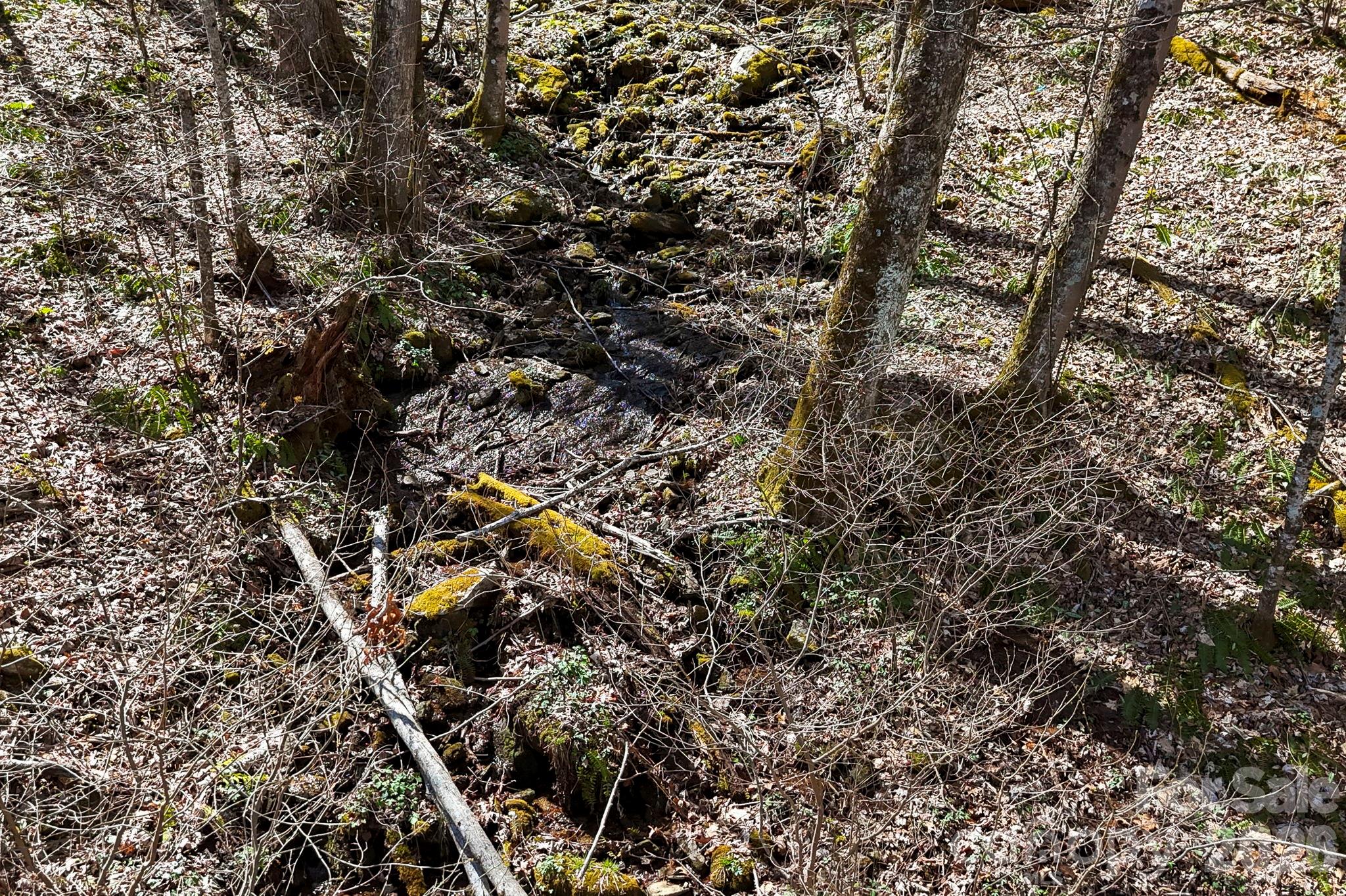 Country Place Of Waynesville - Residential