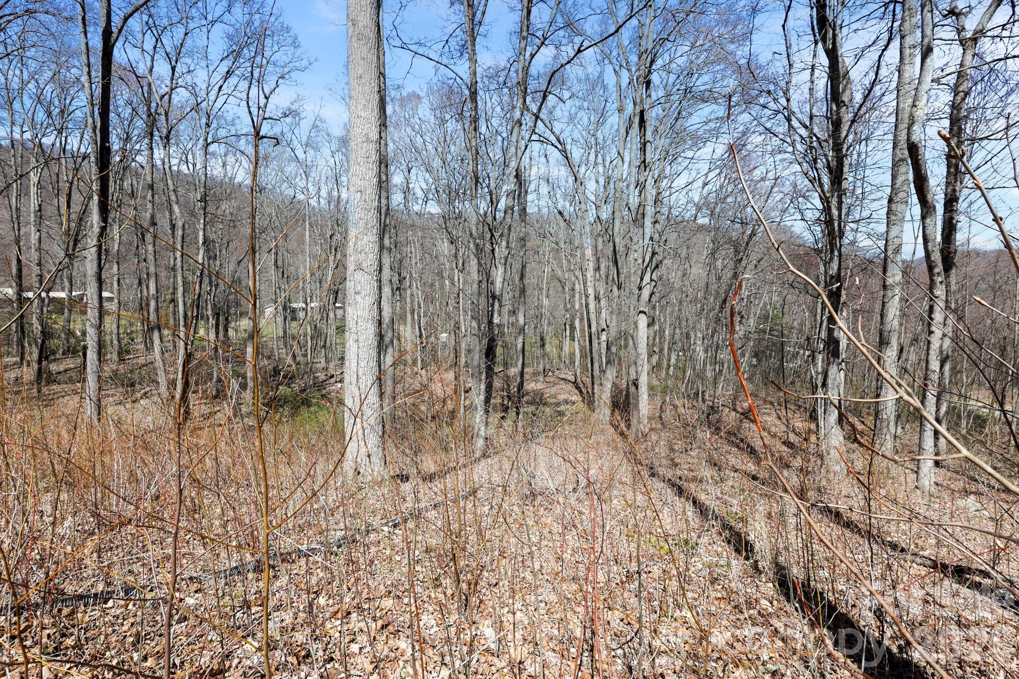 Country Place Of Waynesville - Residential