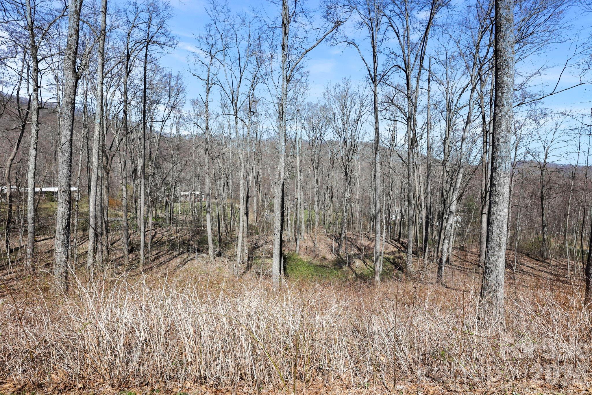 Country Place Of Waynesville - Residential