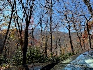 20 Tsalagi Trail