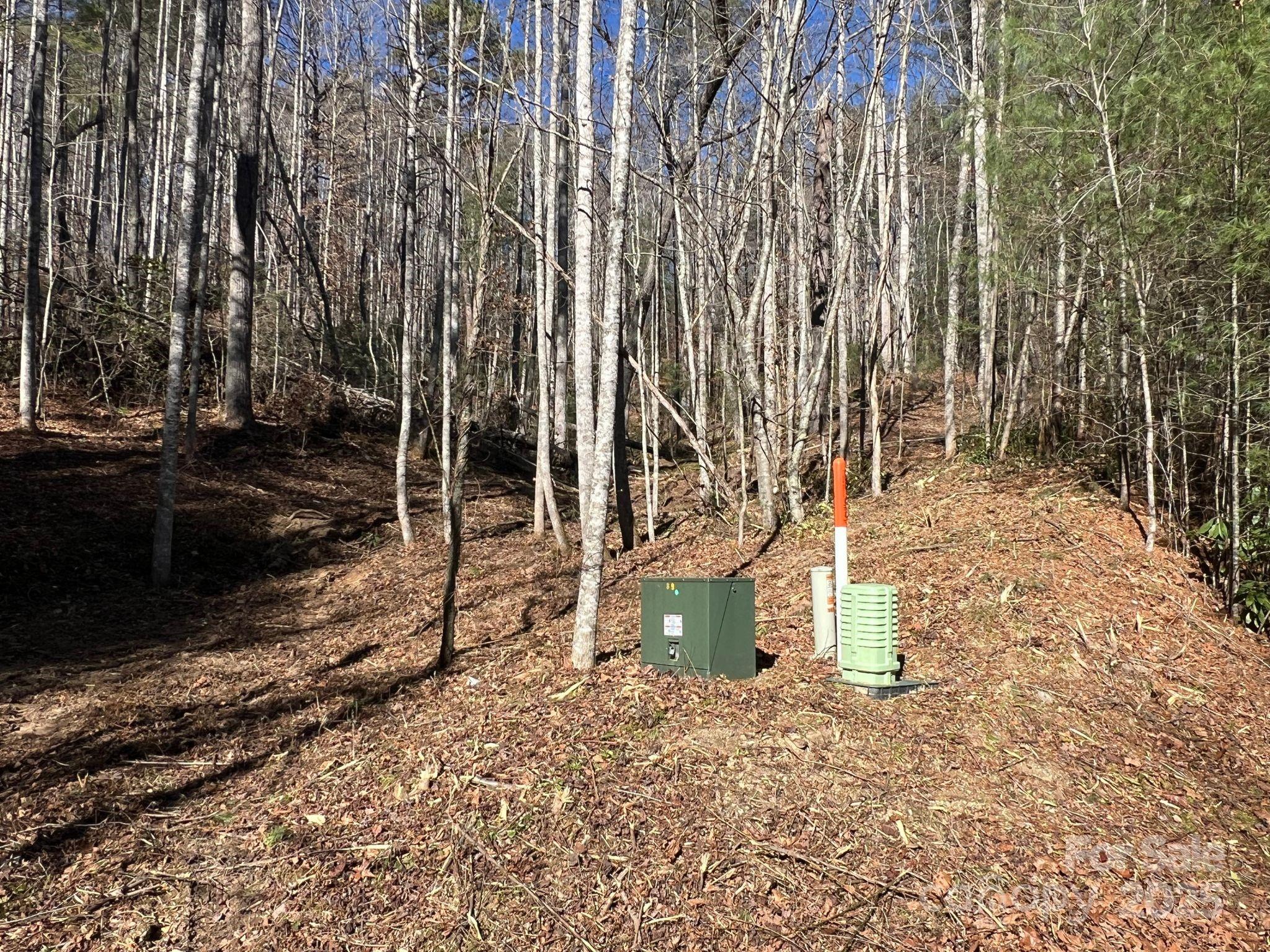 181 Falling Leaves Lane 49