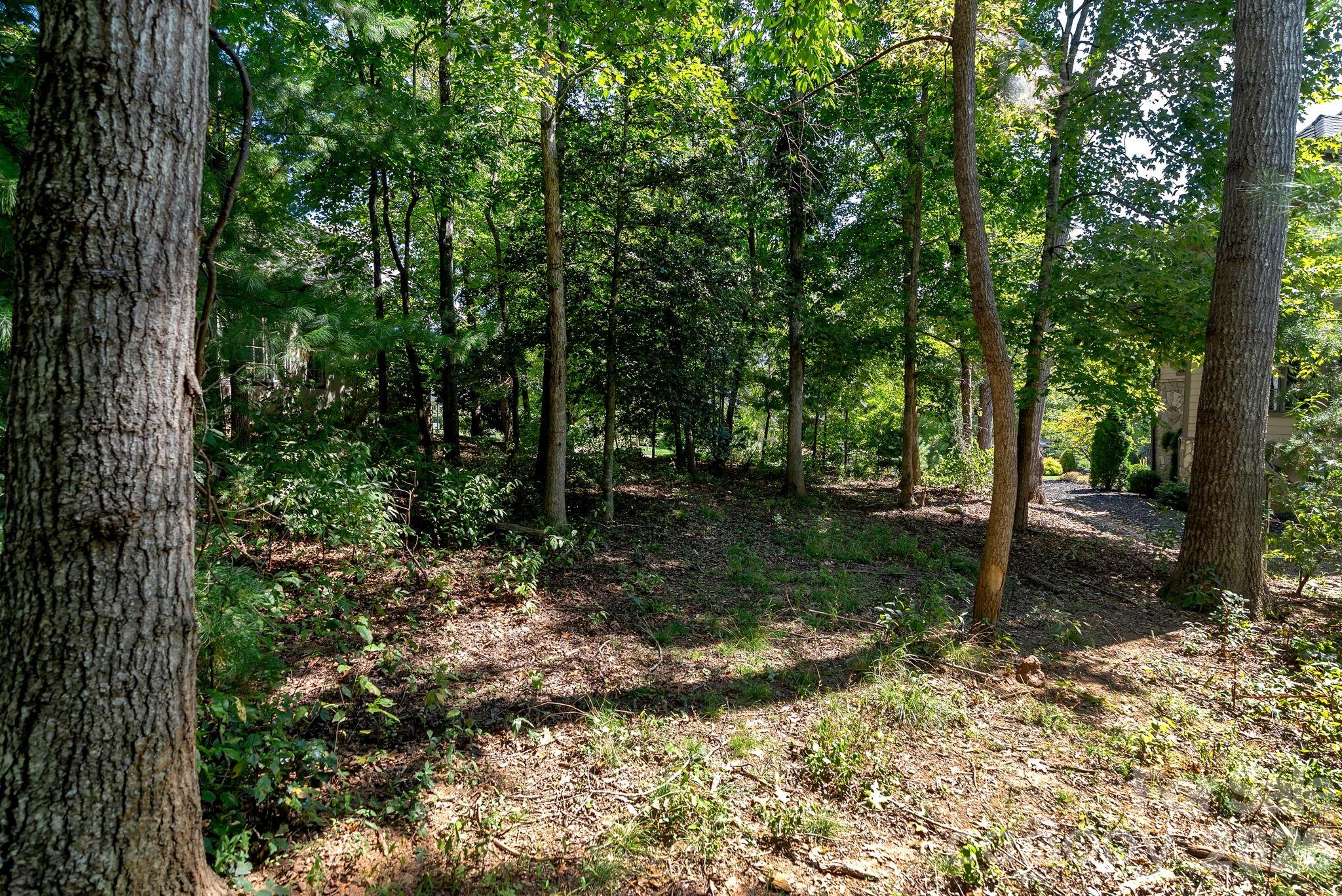 16 Mountain Orchid Way CWC-CP-085