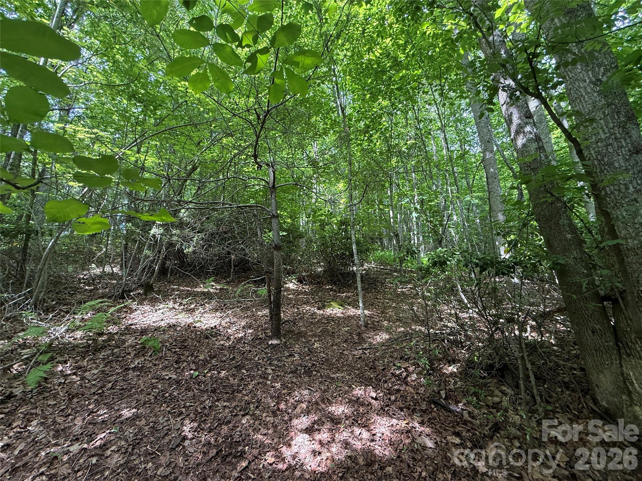 0000 Hardwood Summit Drive 191
