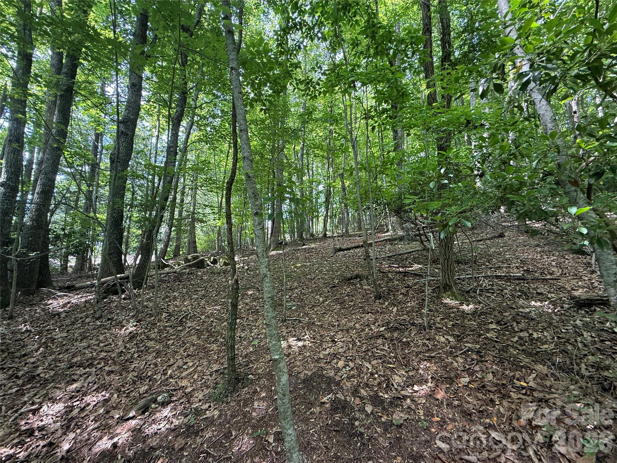 0000 Hardwood Summit Drive 191
