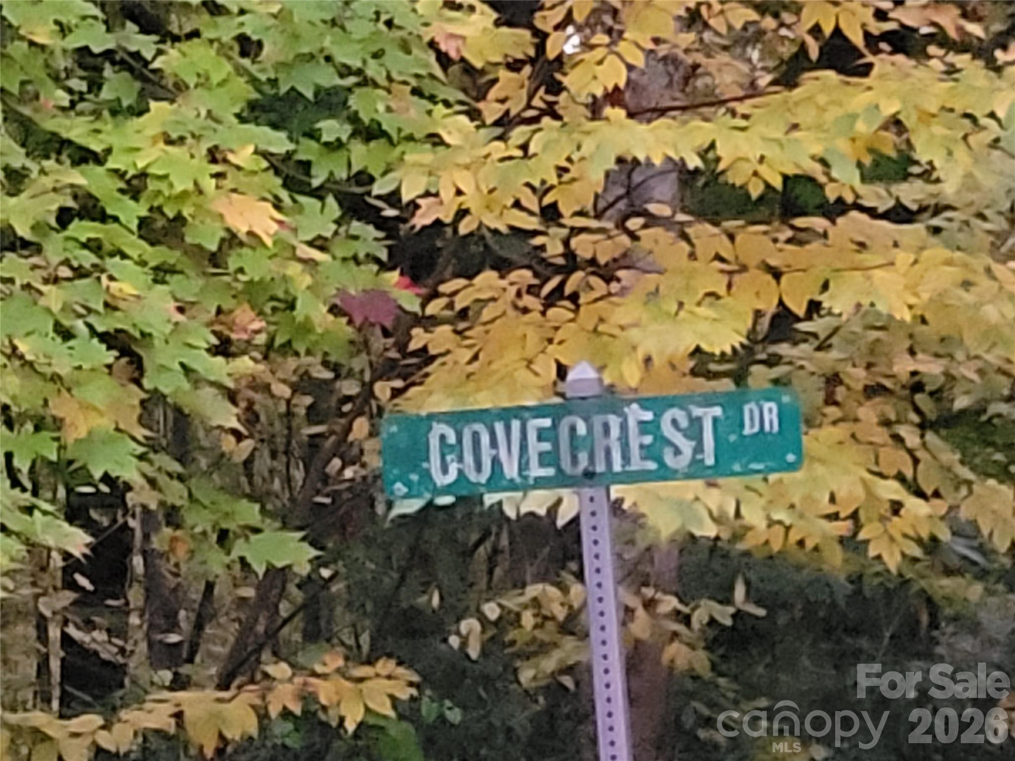 The Cove at Maggie Valley - Land