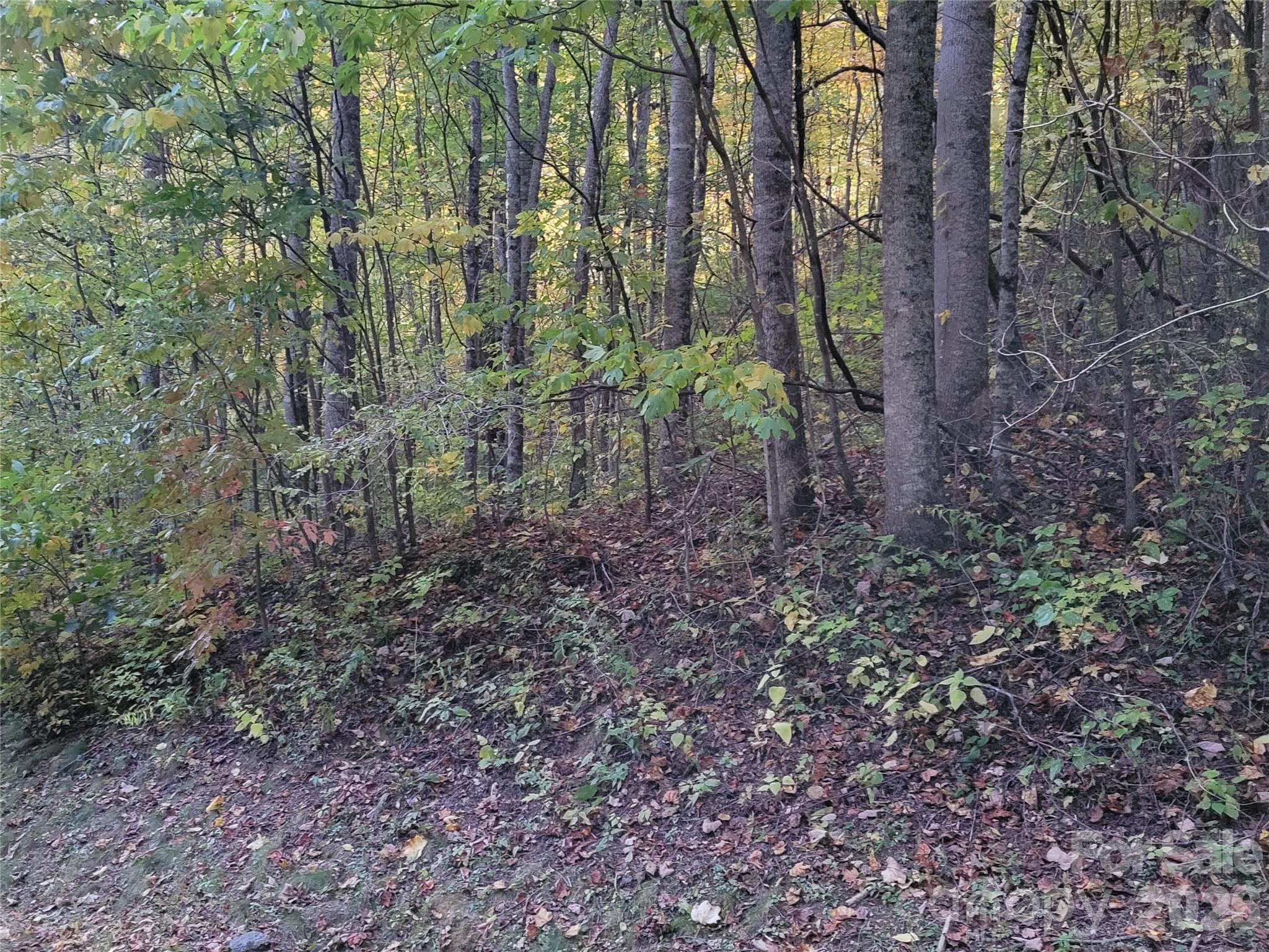 The Cove at Maggie Valley - Land