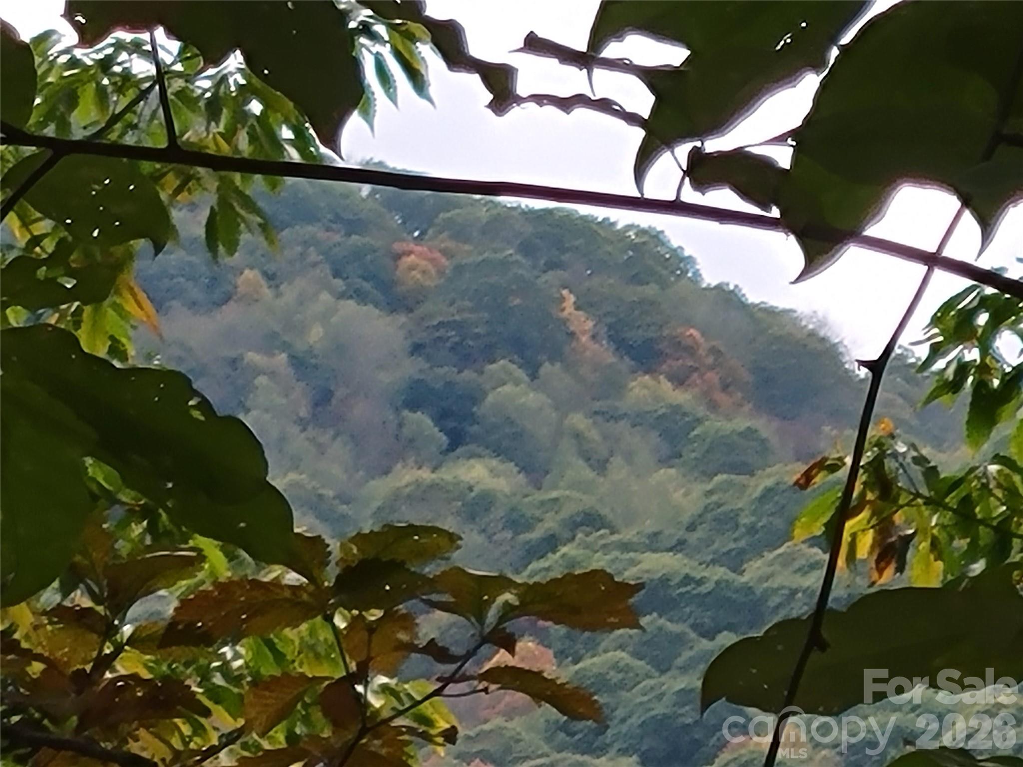 The Cove at Maggie Valley - Land