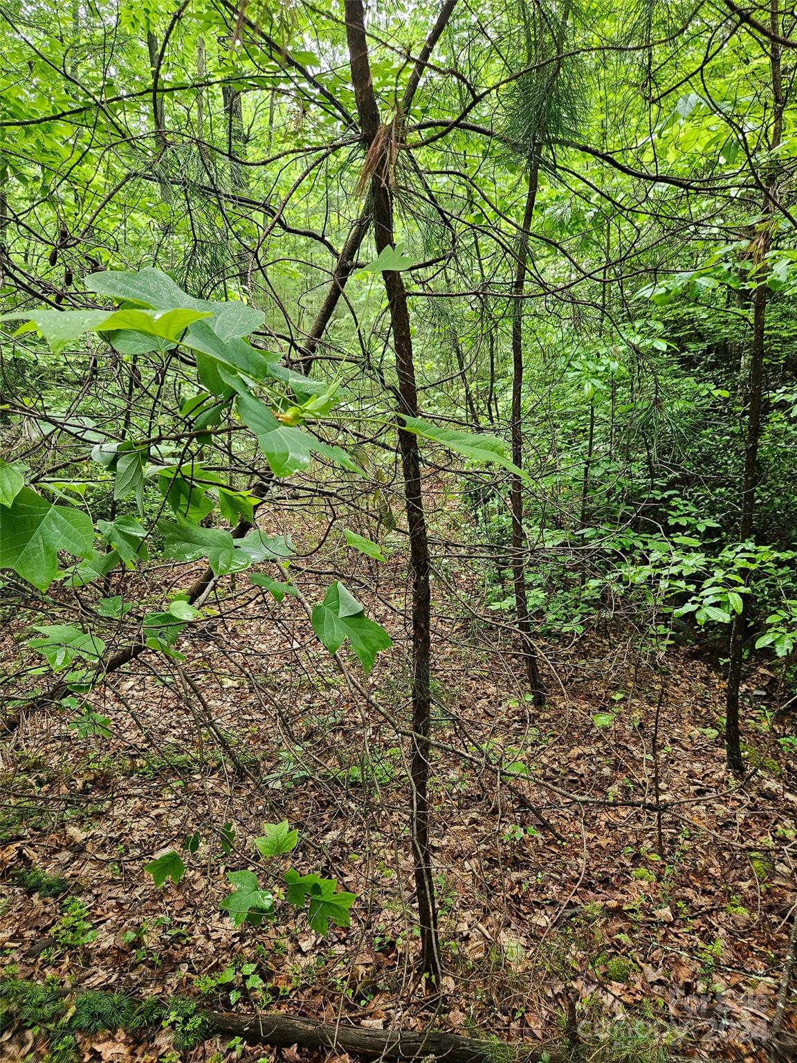 00 Brookside Parkway 24