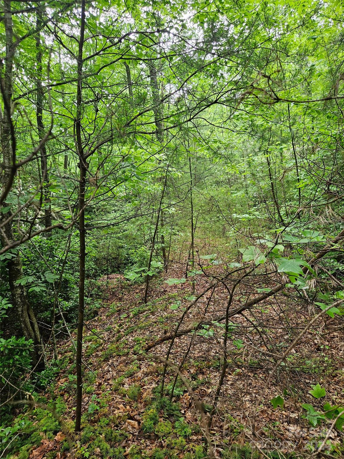 00 Brookside Parkway 24