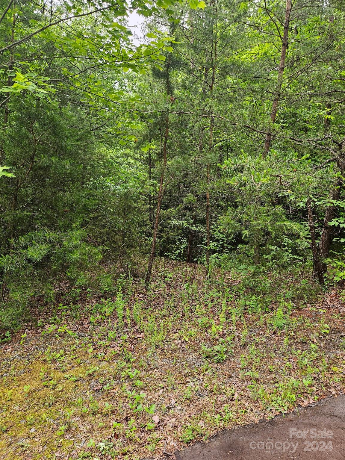 00 Brookside Parkway 24