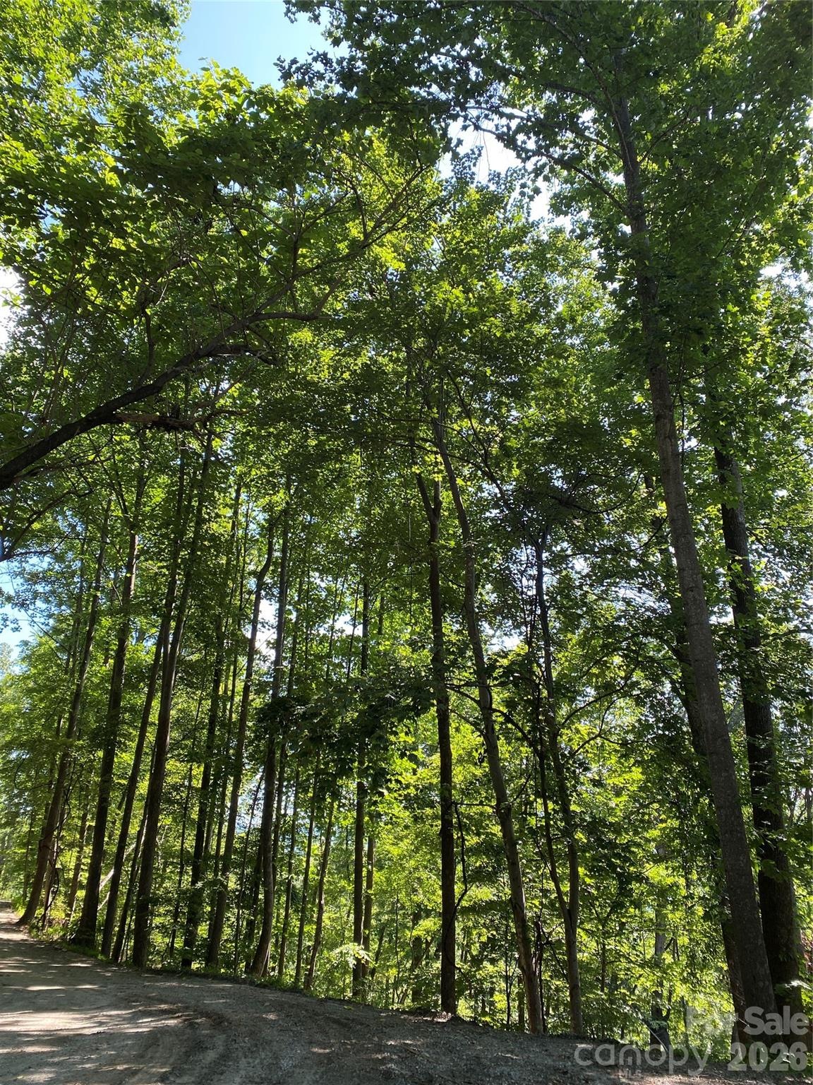 336 Willow Top Lane 336