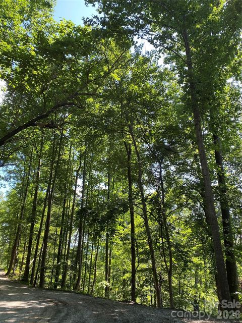 336 Willow Top Lane 336 Lake Lure NC 28746