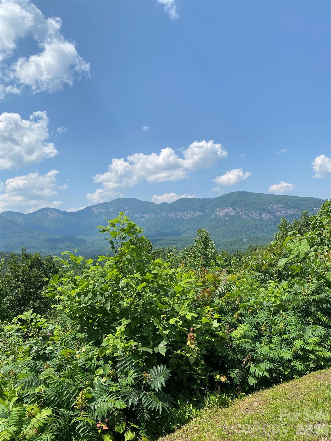 336 Willow Top Lane 336