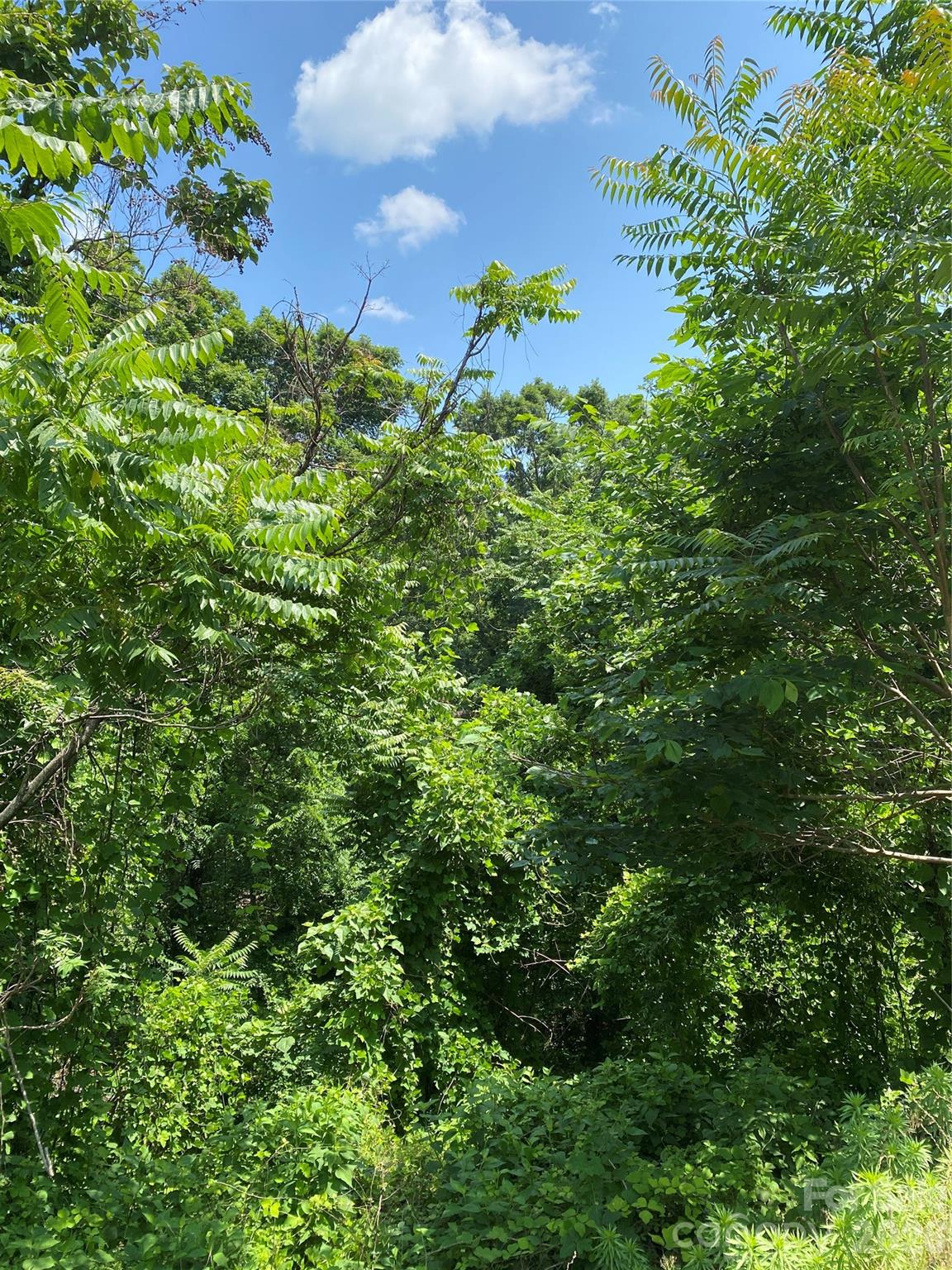 336 Willow Top Lane 336