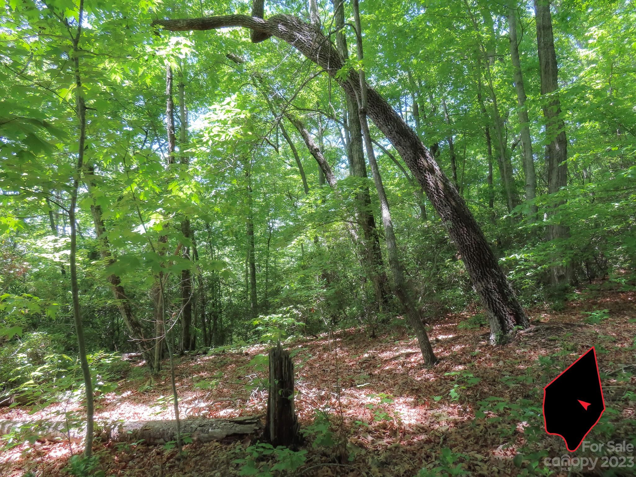 Grants Mountain Estates - Land