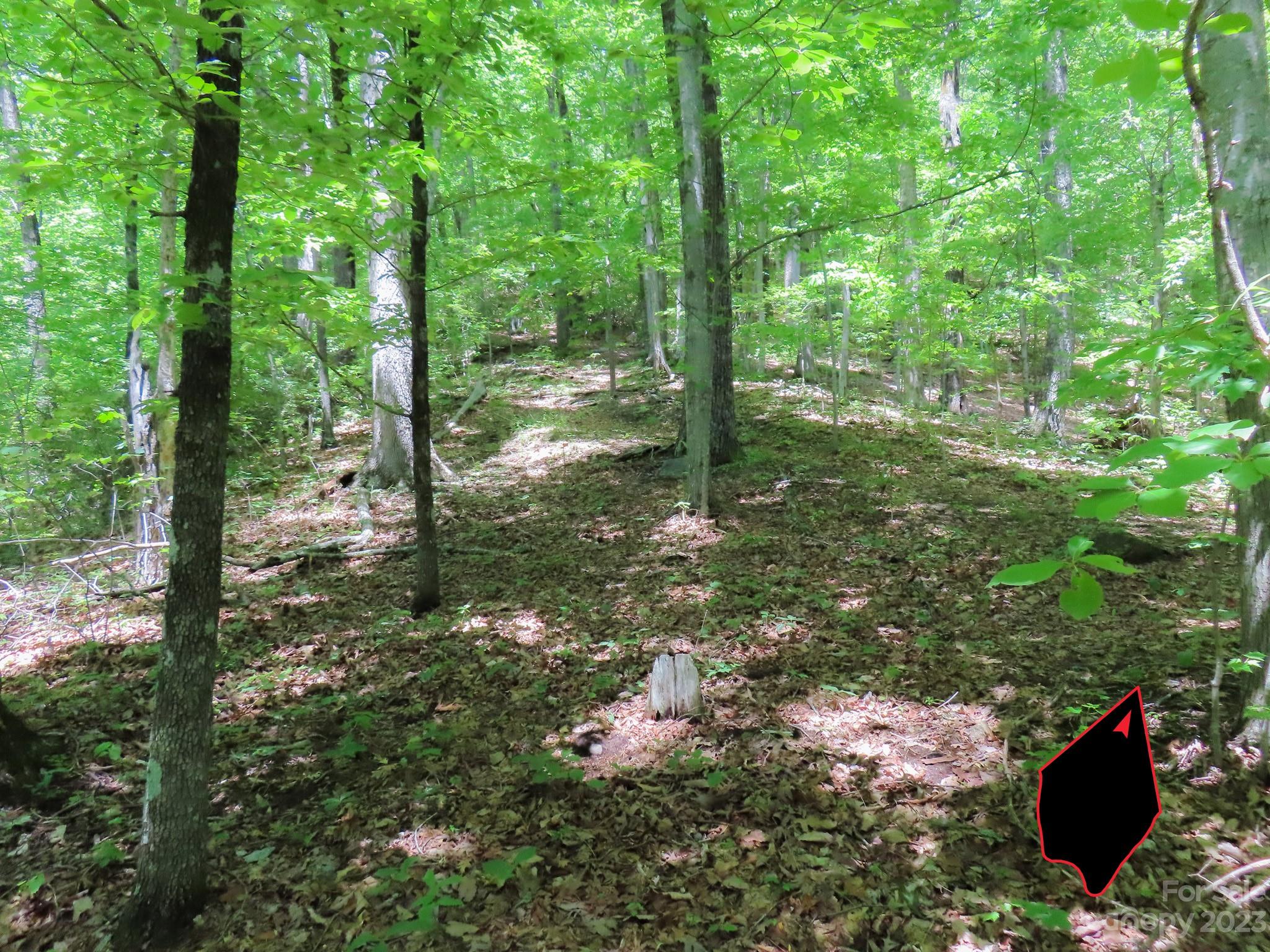 Grants Mountain Estates - Land