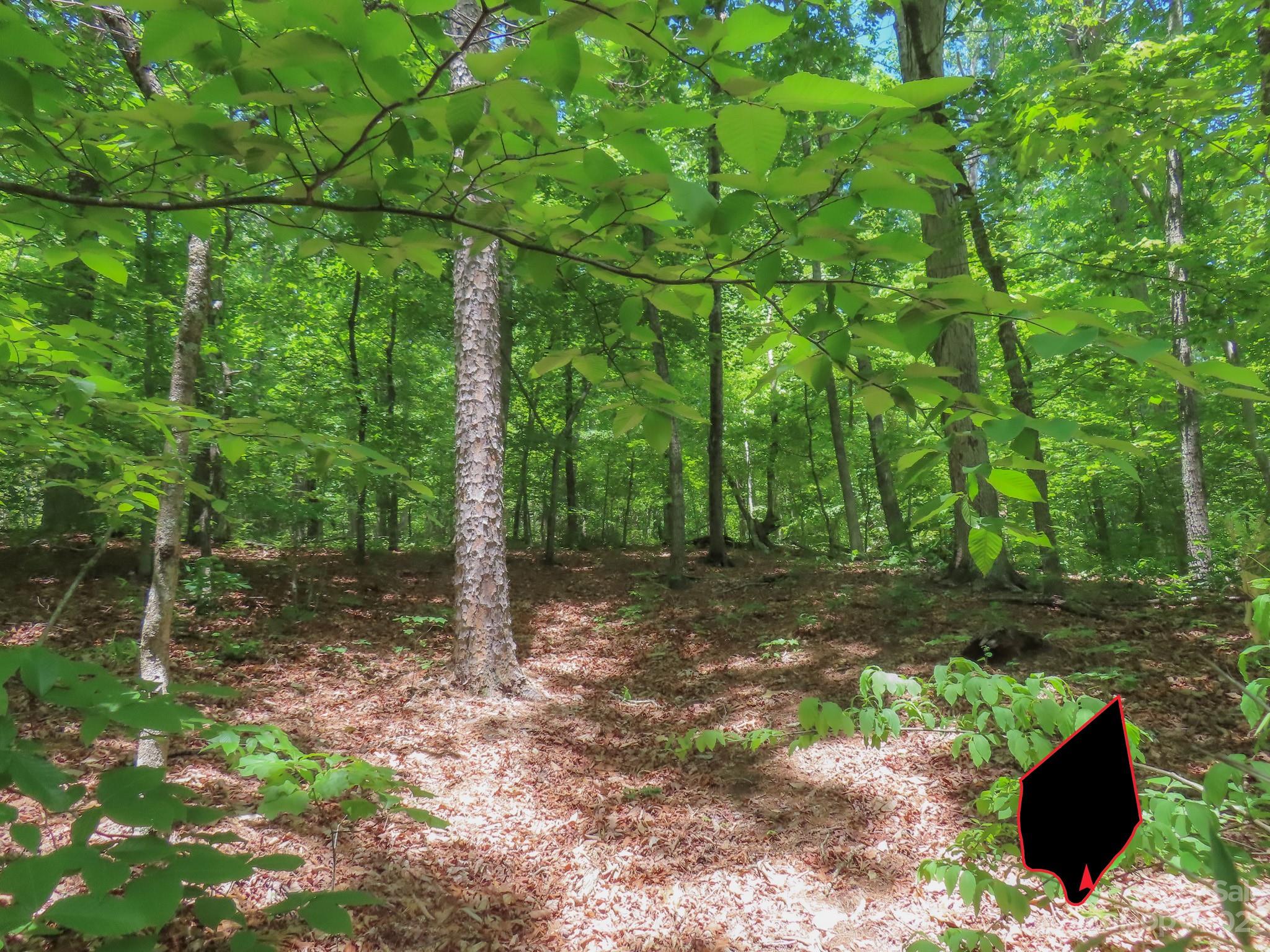 Grants Mountain Estates - Land