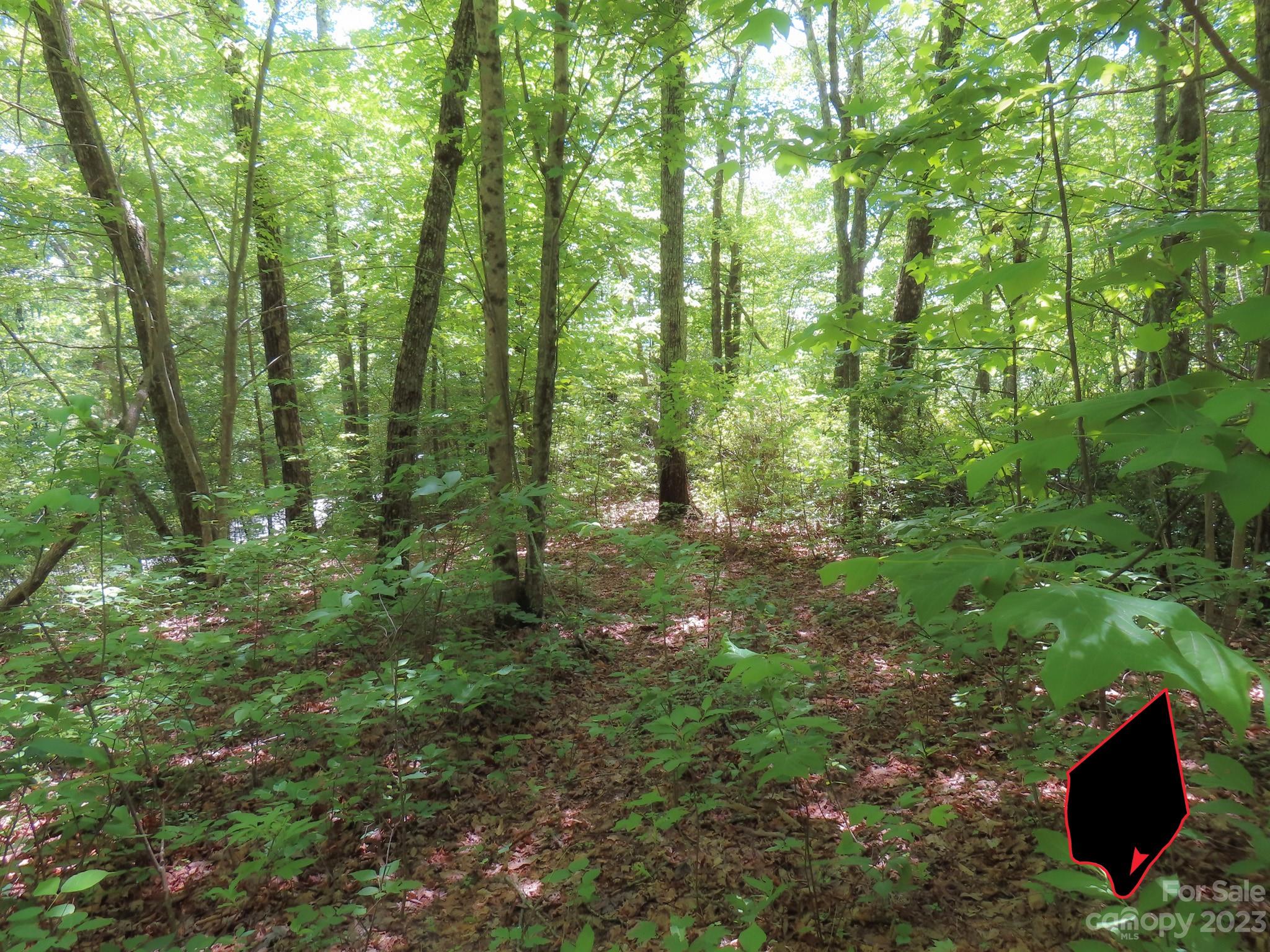 Grants Mountain Estates - Land