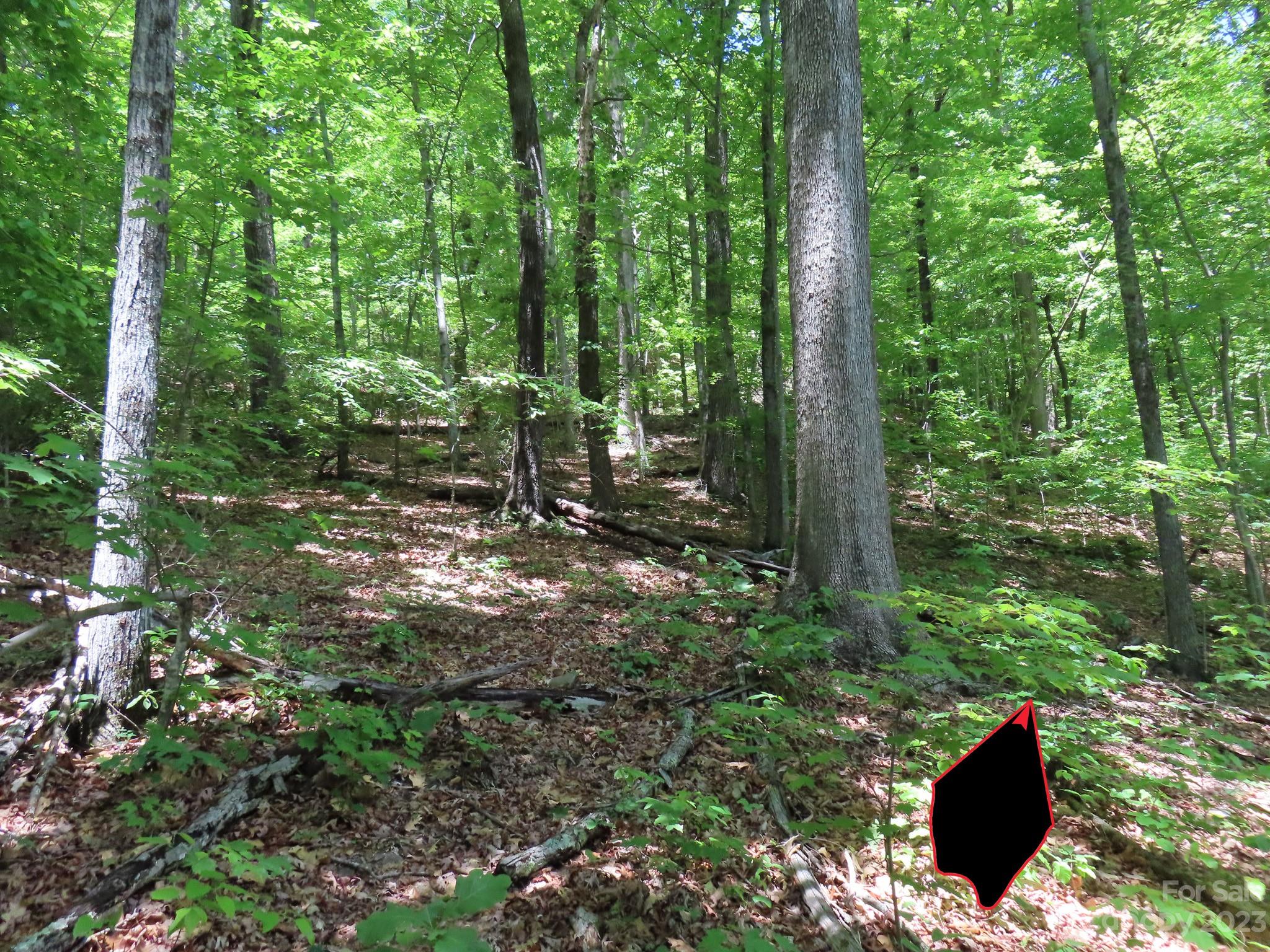 Grants Mountain Estates - Land