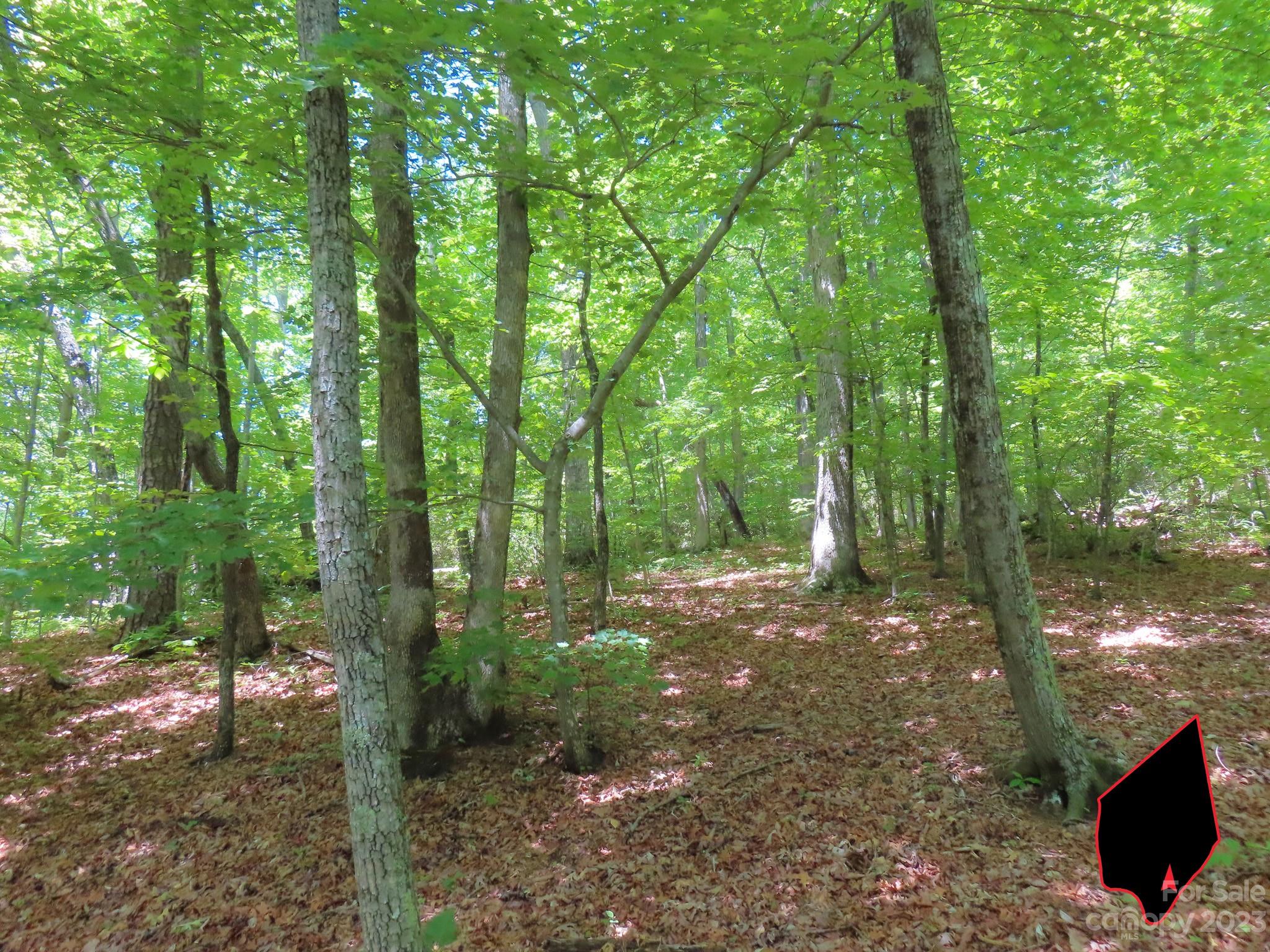 Grants Mountain Estates - Land