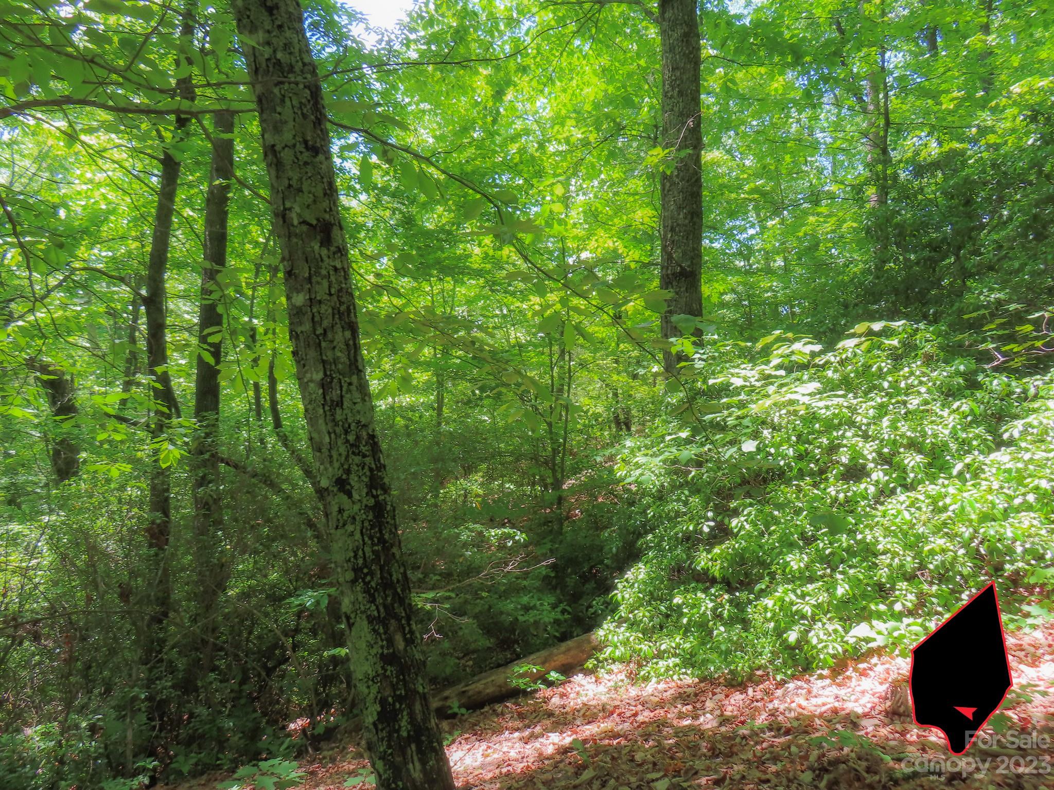 Grants Mountain Estates - Land