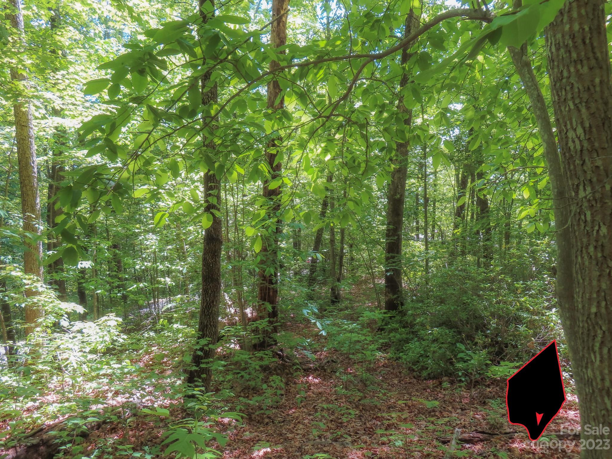 Grants Mountain Estates - Land