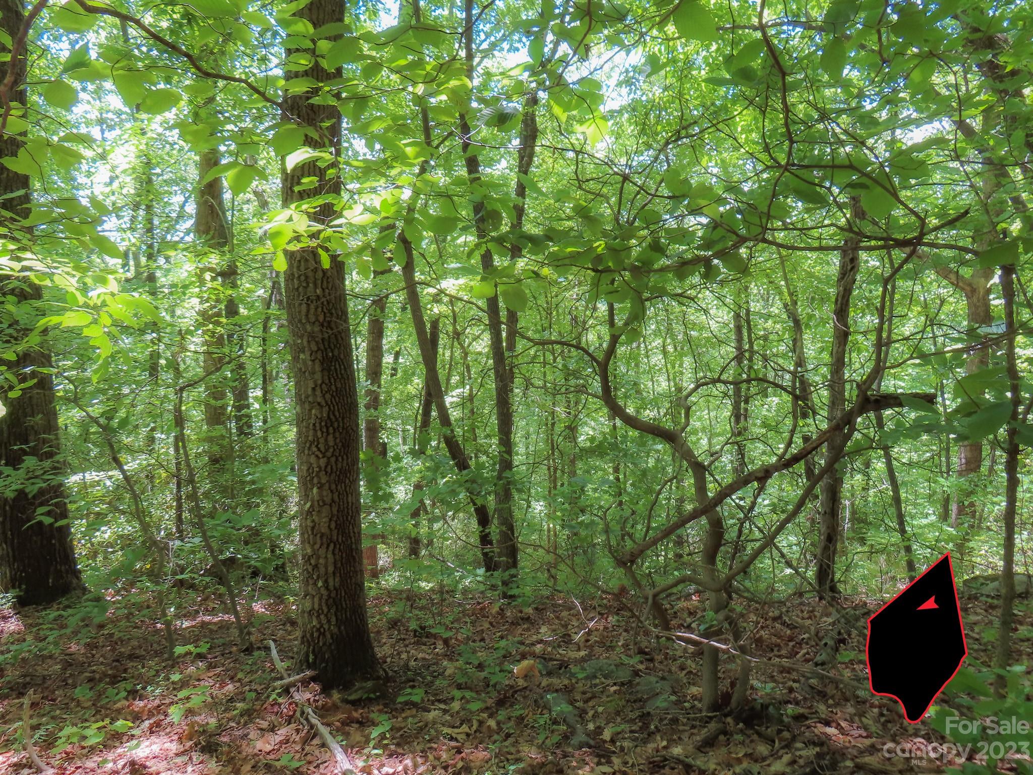 Grants Mountain Estates - Land