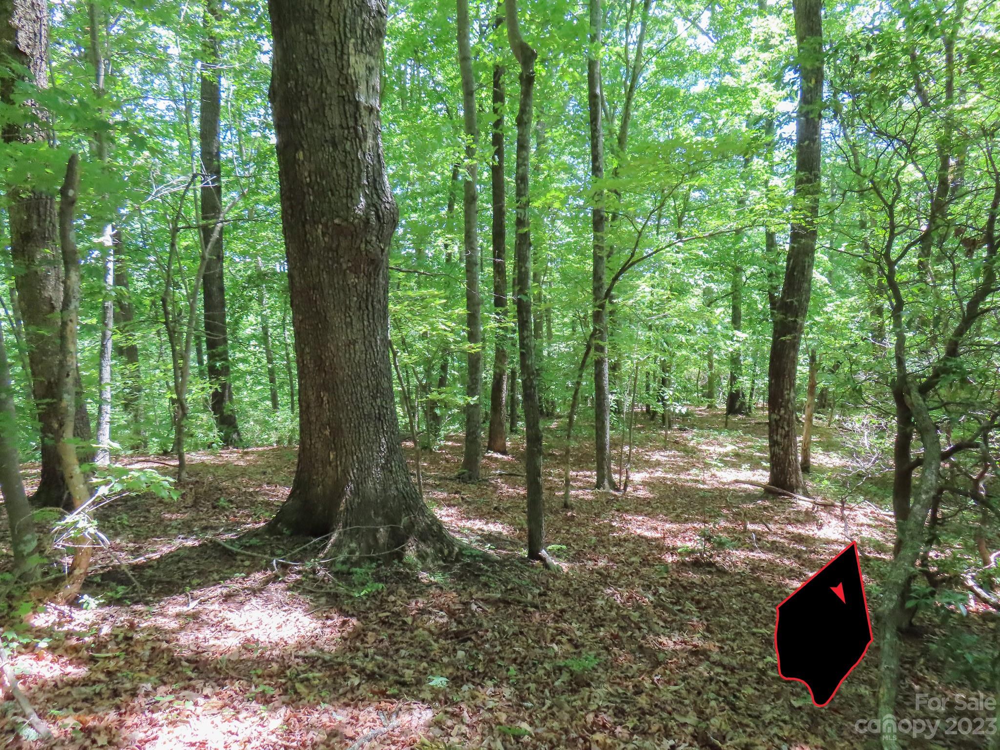 Grants Mountain Estates - Land