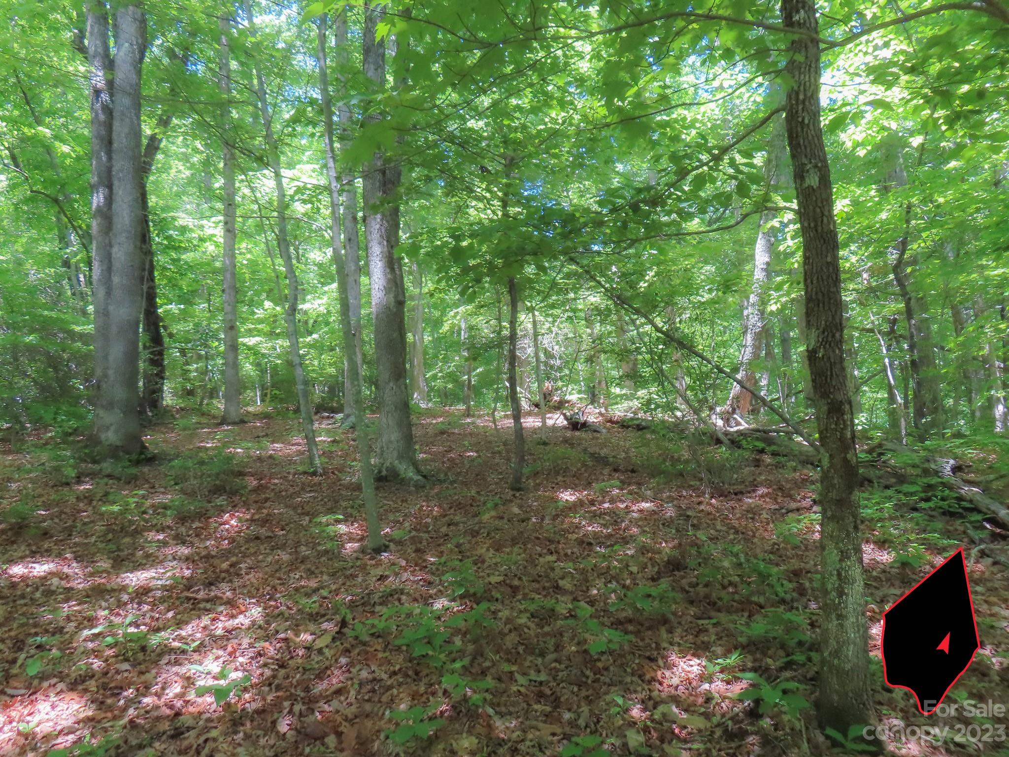 Grants Mountain Estates - Land